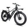 Электровелосипед WHITE SIBERIA ENOT 26 1000W